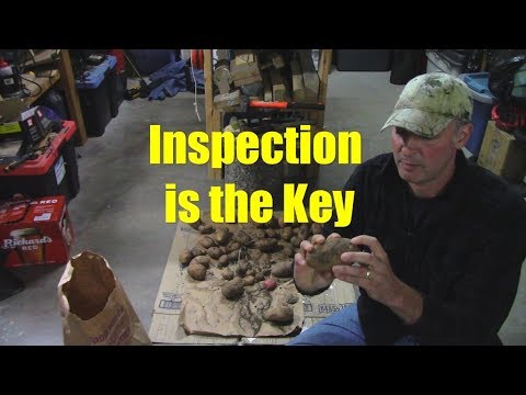 A Few Points On Potato Storage
