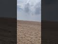 Marina sea bitch Chennai..
