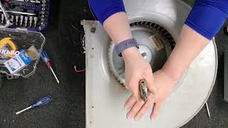 How To Install A Blower Motor by OPEN TO PUBLIC HVAC SCHOOL 2,006 views 1 year ago 8 minutes, 44 seconds
