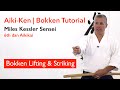 Aikido Bokken Basics: Lifting & Striking