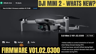 新品未開封　DJI MINI2 DJI Mini 2 Camera Drone | 4K Video, 31 Minute Flight (Open