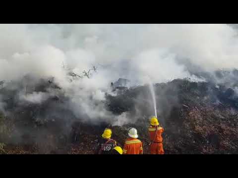 Incendio Paseo Público