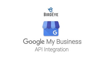 Birdeye Google API