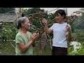 Trang visited the old woman &ndash; the two of them caught fish together and cooked traditional dish