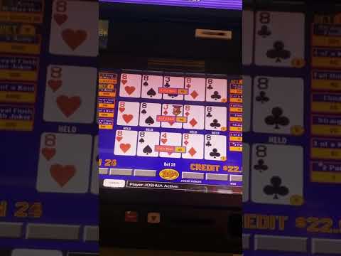 raging bull pokie slot win liveplay