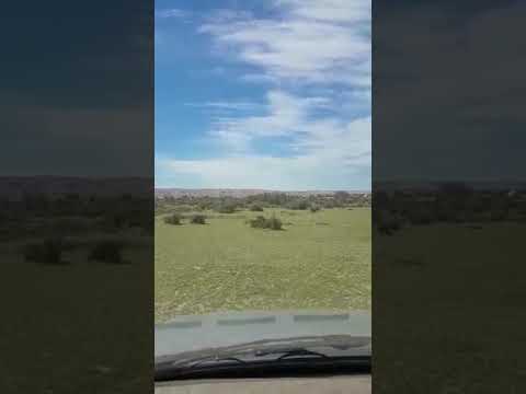 ربیع عرب الساحل الشرقي اجمل واروع مناظر بر فارس تمبوة الشرقية ٢٠١٩