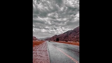تلاوة القرآن الكريم سورة الحجرات الأية (18)🎧🌱