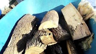 Wood burming furnace and the woodpile