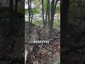 Искали водопад, а нашли буддийский храм в котором пели мантры #fieldrecording #audiotraveller