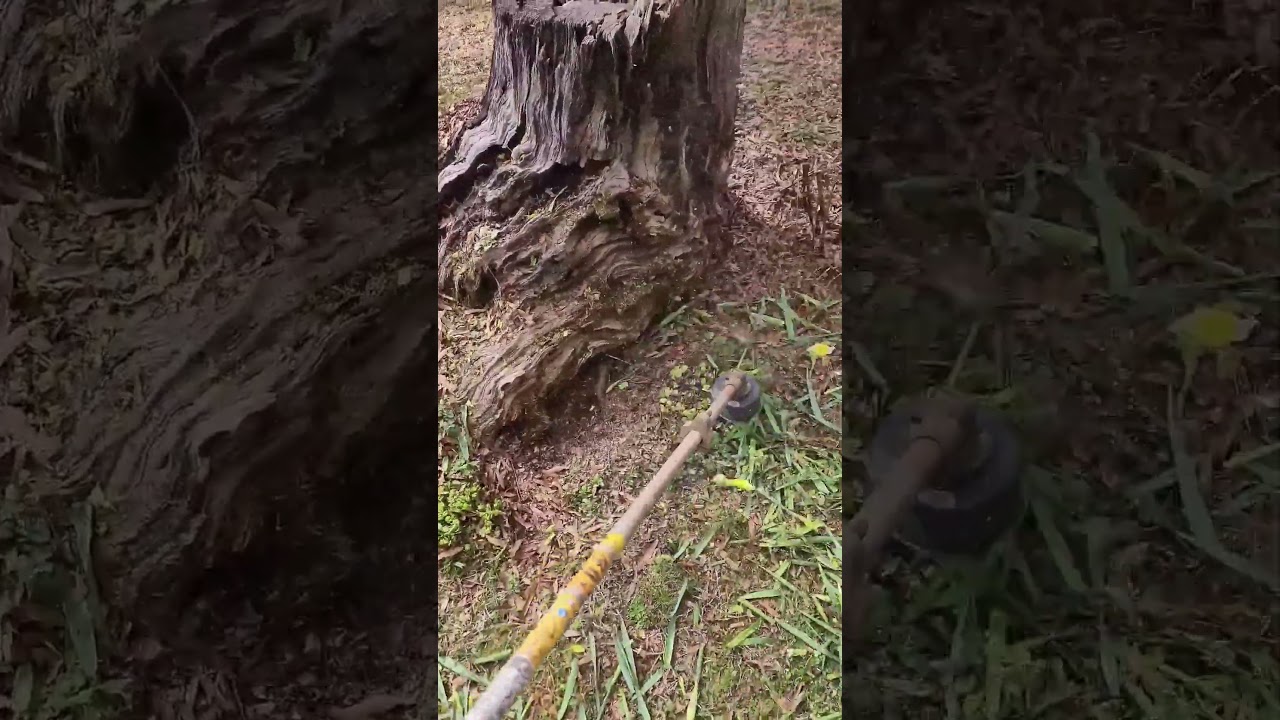 Sidewalk Edge Perfection ✂️ | 