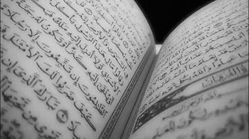 سرمد القريشي ما تيسر من سورة الغاشية