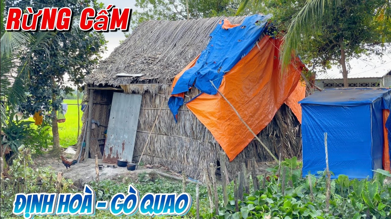 Khám phá khu vực định hoà gò quao địa điểm mang tên RỪNG CẤM bà con ở đây rất thân thiện