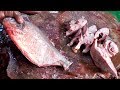Fastest Cutting Fish | Big Red Pamfret Fish Cutting Video | Fish Cleaning &amp; Cutting Videos