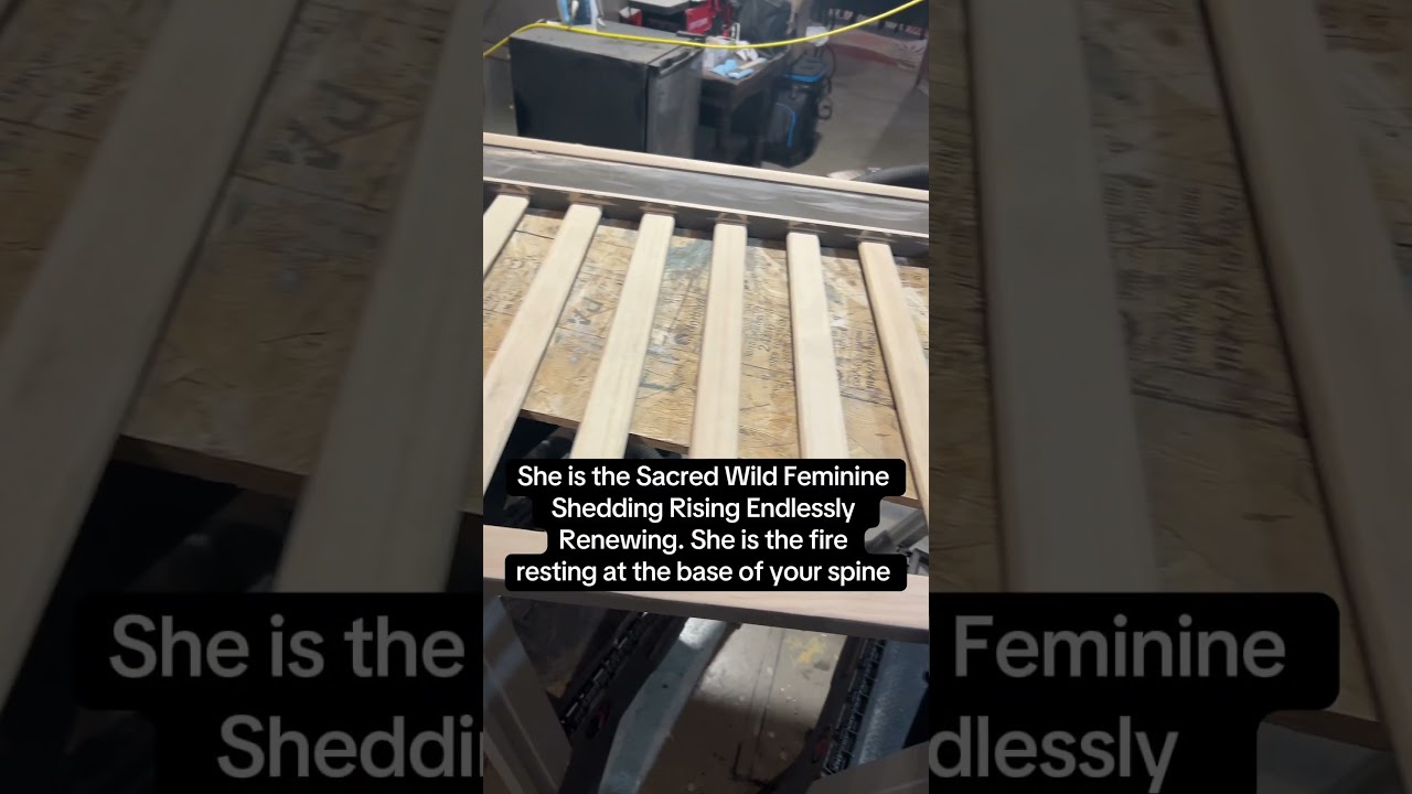 #wildwomansisterhood