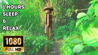 Let Go of Stress 😌  1 Hour ASMR Bamboo Wind Chimes & Calming Water Sounds for Sleep