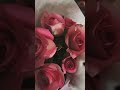 Happy propose day 🩷 #valentinespecial #proposeday #love #shortsvideo