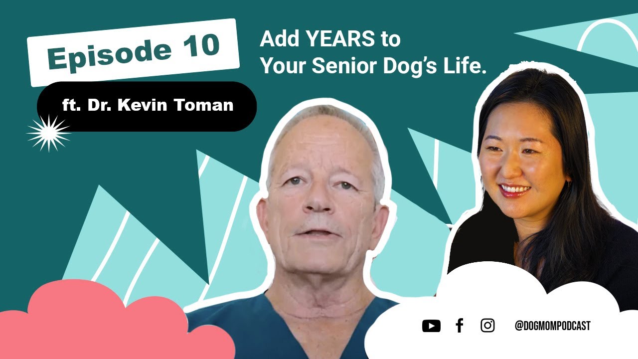 40 Years of Vet Secrets: Add YEARS to Your Dog's Life ft. Dr. Kevin Toman || Dog Mom Podcast S2 E10