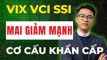 CHÚ Ý: 3 Cổ Phiếu Mai Giảm Mạnh - Cơ Cấu Khẩn Cấp! | Đừng Bỏ Lỡ!