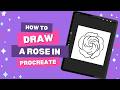 How to Draw a Rose in Procreate | Beginner Friendly Flower Tutorial