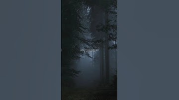 सबसे ऊपर लिखा है तेरे नाम को एस्थेटिक लिरिक्स स्टेटस वीडियो #एस्थेटिक #वायरल #स्टेटस #एक्सप्लोर