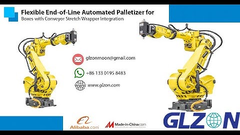 Flexible End-of-Line Automated Palletizer for Boxes with Conveyor Stretch Wrapper Integration