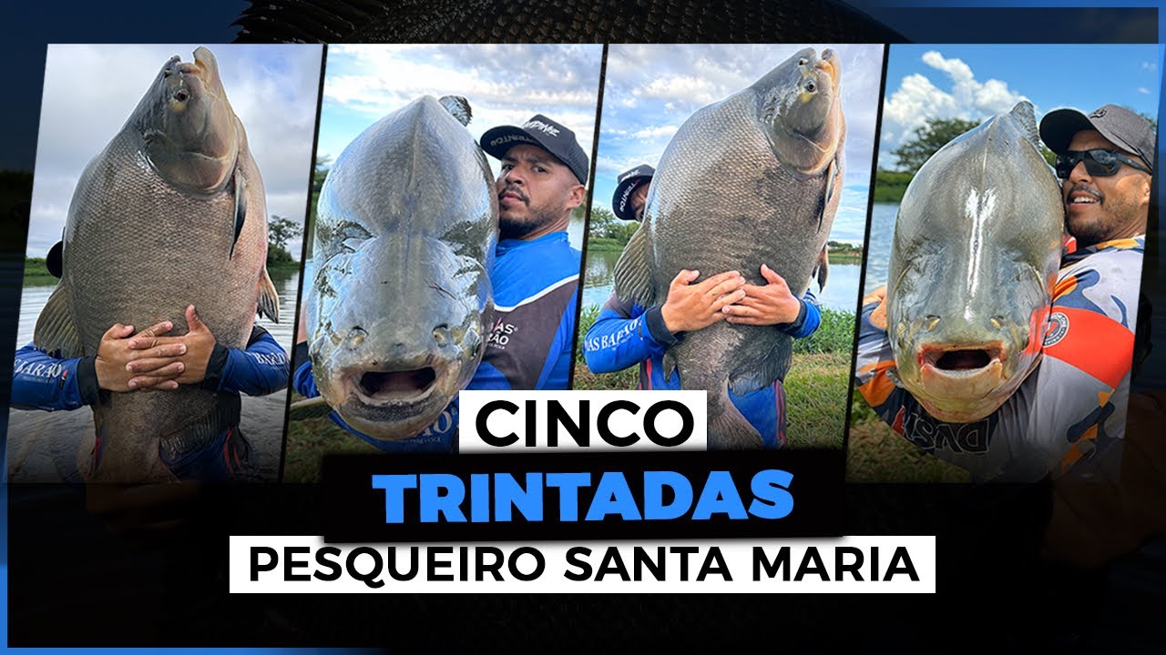 IMPRESSIONANTE! CINCO TRINTADAS – 30KG, 31KG, 32KG, 33KG E 34KG NO PESQUEIRO SANTA MARIA-PR