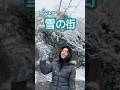 「雪の街」だから踊らないわけにはいかない...❄️⛄️(途中で雪がボトっと落ちてきて気になってしまったw)#橋本聖子 #オリジナル曲 #snowlove