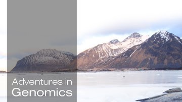 Footprints of Climate Change in Ancient DNA – Adventures in Genomics | Illumina Video