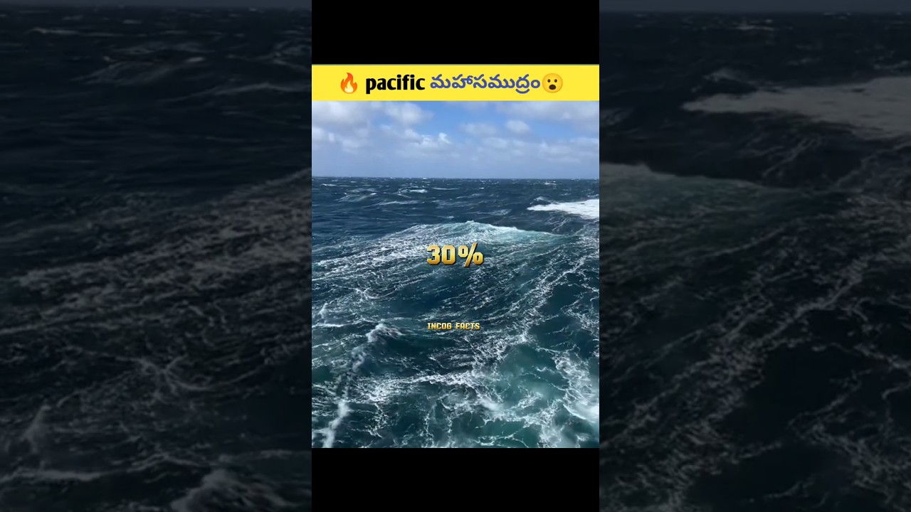 pacific మహాసముద్రం 😮