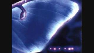 Luna Moth - Jon Hopkins
