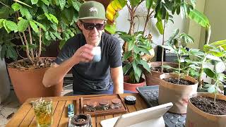 Sunday Wake ’n Bake: Growing Organic Cannabis with Living Soil + Tips 🌱🔥 | @Almicanna_Living_Soil