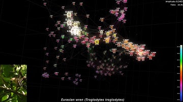 Visualizing Bird Songs