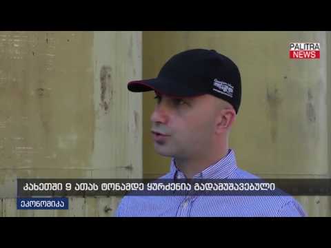 კახეთში 9 ათას ტონამდე ყურძენია გადამუშავებული