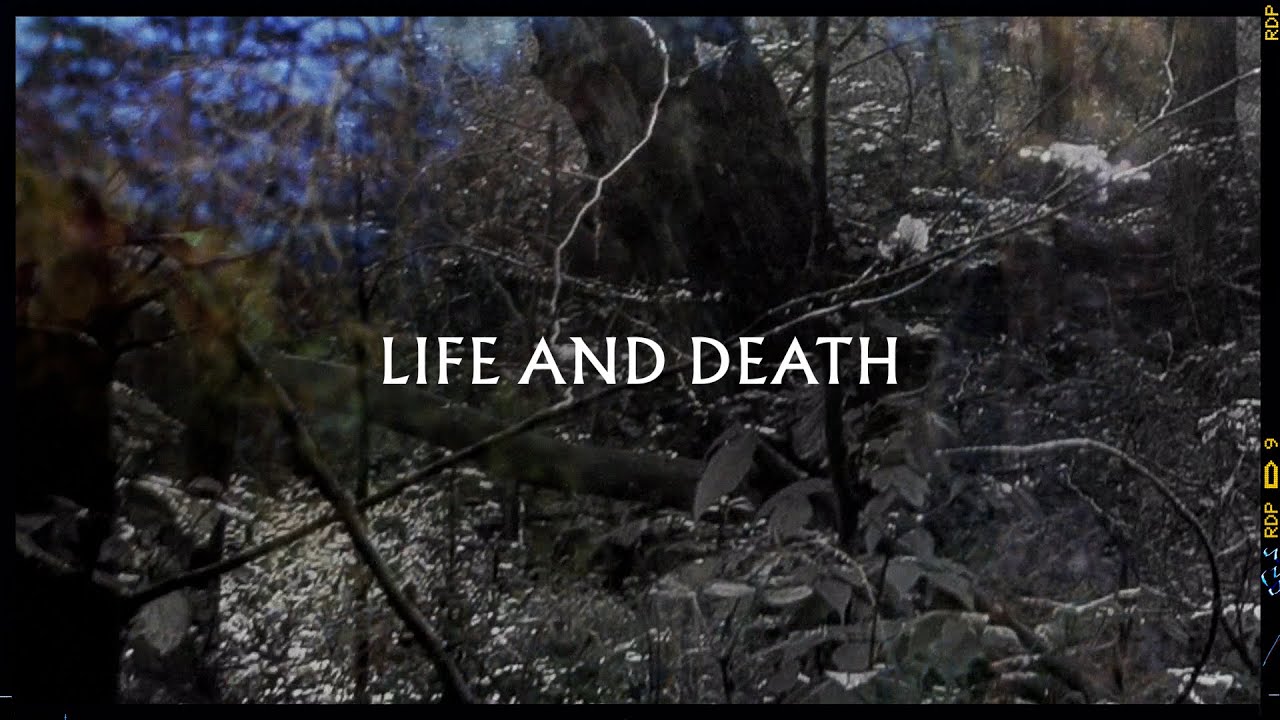 Metronomy - Life and Death (Lyric Video)
