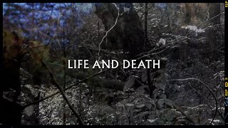 Metronomy - Life And Death (Lyric Video)