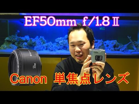 EOS Mに、Canon単焦点レンズ EF50mm f/1.8Ⅱ (Canon EF50182) 商品ﾚﾋﾞｭｰ！Vol.13 - YouTube