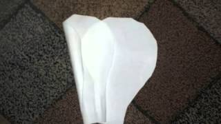 How to make fabric Gladiolus