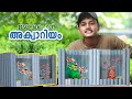 PVC Pipe Aquarium | പഴയ PVC പൈപ്പ് ഉണ്ടോ..അക്വാറിയം റെഡി | DIY Aquarium Malayalam