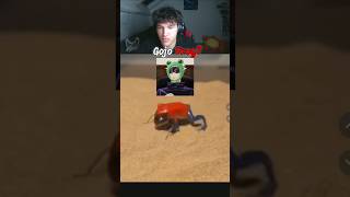 Gojos Frog?