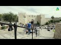 يا رايحين على القدس خذوني معاكو يا رايحين على القدس خذوني معاكو