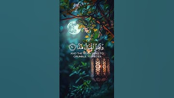 وَقَالُوا اتَّخَذَ الرَّحْمَنُ وَلَدًا  #آيات#تلاوة_خاشعة #قرآن #قران_كريم #راحة_نفسية  #اكسبلور