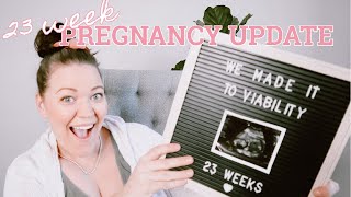 EMOTIONAL 23 WEEK PREGNANCY UPDATE | Anatomy scan results, babys heart & ruined gender surprise