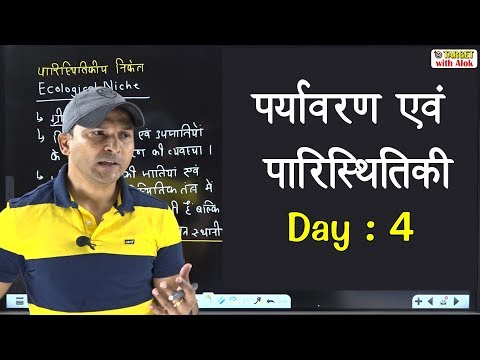 वीडियो: खीरे कैसे उगाएं (चित्रों के साथ)