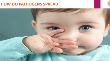 7th Science Ln 6 Health and Hygiene Part 1