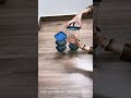 Video Image