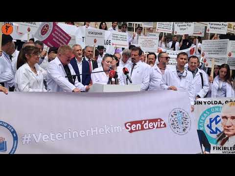 Veteriner Hekim Sen Ulus Meydanı Basın Açıklaması