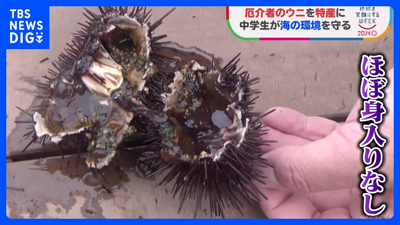 ウニ学 ウニ学 | 本川 達雄 |本 | 通販 | Amazon