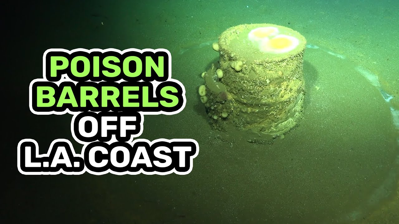 Ghostly Halos Found Around Toxic Barrels Off L.A. Coast