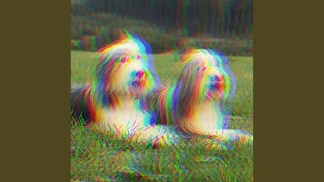 Tremendous Backdrops for Deep Sleep Puppy