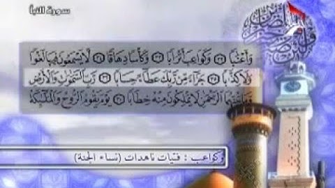 سورة النبأ  بصوت الشيخ  رافع العامري -ترتيل